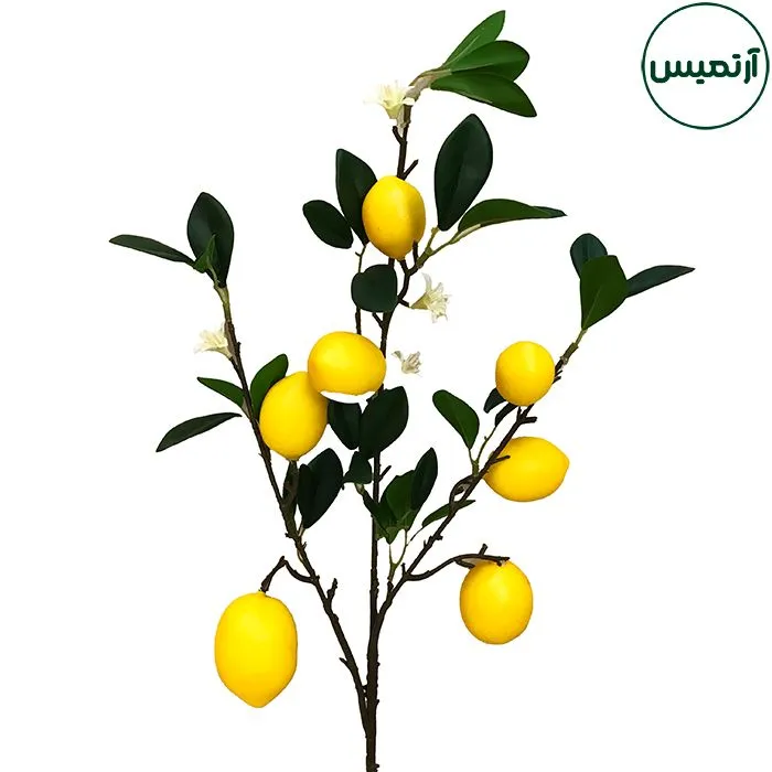 شاخه لیمو مصنوعی