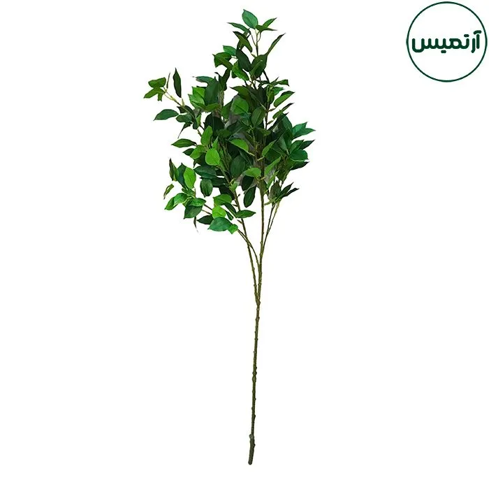 برگ مصنوعی بنجامین شاخه ای