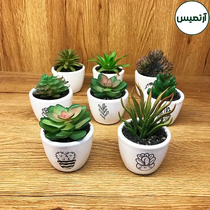 کاکتوس مصنوعی گلدان استیکردار۱۸تایی