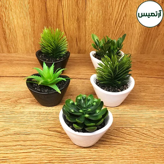کاکتوس مصنوعی گلدان هلالی ۱۵تایی