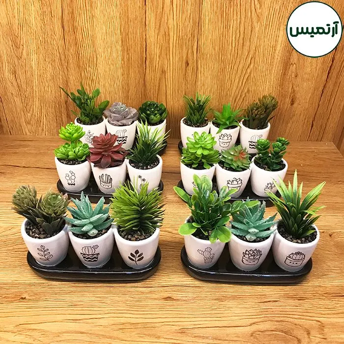 کاکتوس مصنوعی مدل گلدان۳تایی پک۶عددی