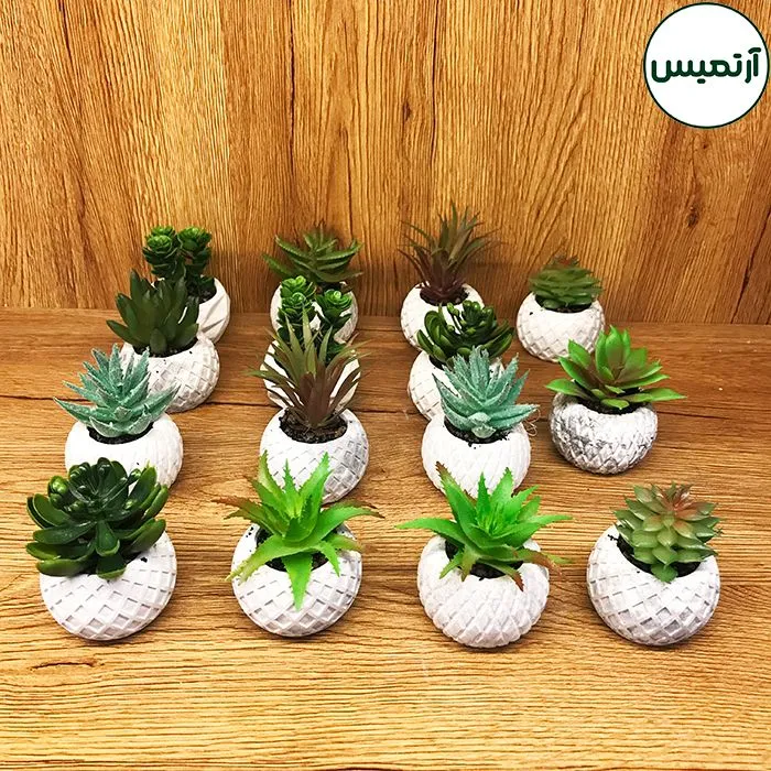 گلدان کاکتوس مصنوعی کوچک کارتن 15عددی
