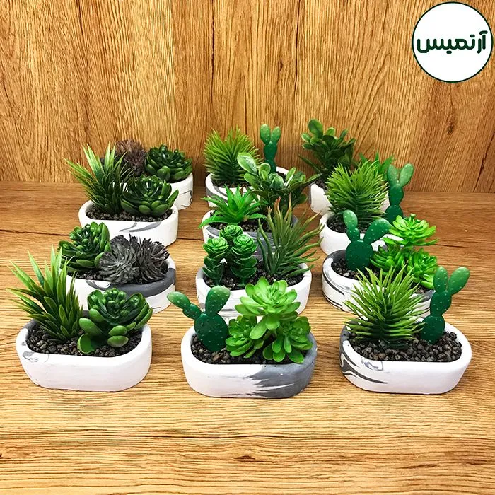 کاکتوس مصنوعی مدل گلدان بیضی۱۲تایی