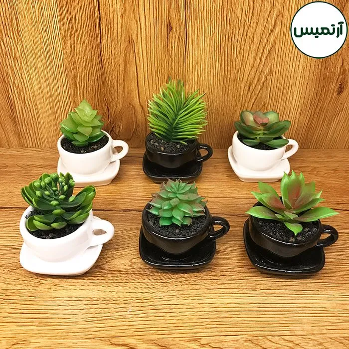 کاکتوس مصنوعی مدل گلدان فنجان ۱۲ تایی