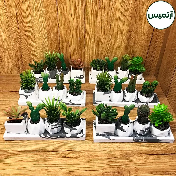 کاکتوس مصنوعی گلدان ۴ تایی پک ۶ عددی