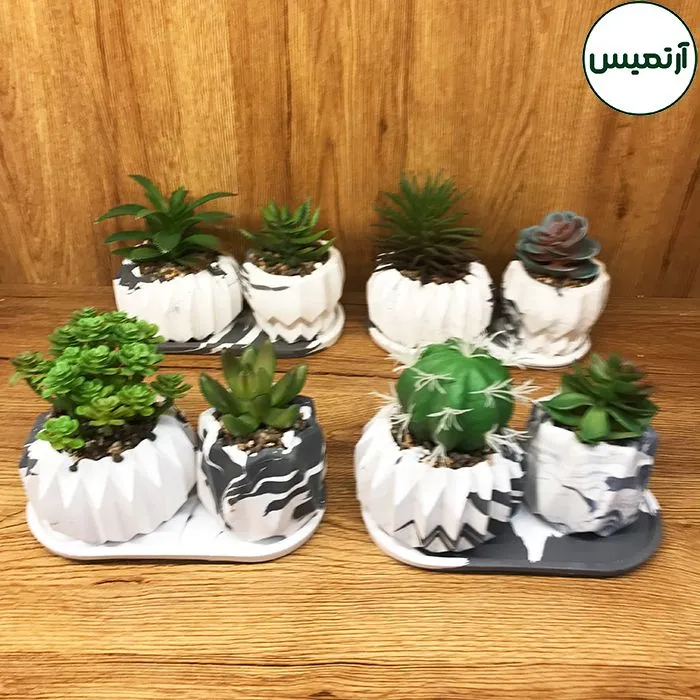 کاکتوس مصنوعی گلدان ۲ تایی پک ۴ عددی