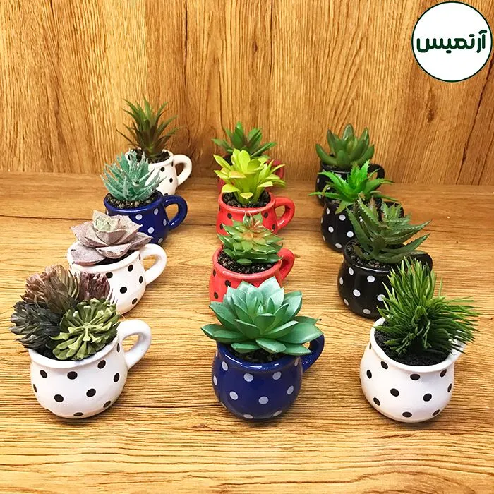کاکتوس مصنوعی گلدان فنجان ۱۵تایی