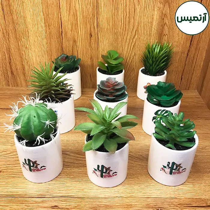 کاکتوس مصنوعی مدل گلدان لیوانی ۱۲ عددی
