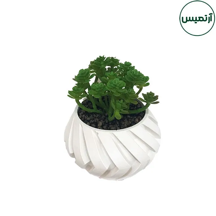 کاکتوس مصنوعی گلدان بزرگ دکوری